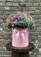 Цветочная композиция из Гипсофила и Розы в шляпной коробке в Боготоле