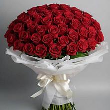 Букет 101 Красная роза Блэк Мэджик в Боготоле