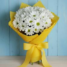 Букет цветов из:  Хризантемы в Боготоле