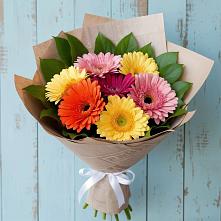 Букет цветов из:  Герберы #REPLACE_PRED# Боготоле
