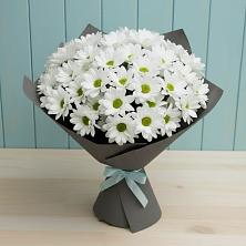 Букет цветов из:  Хризантемы в Боготоле