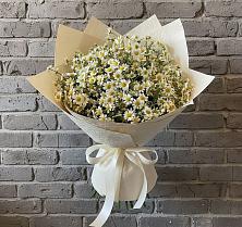 Букет цветов из:  Ромашки в Боготоле
