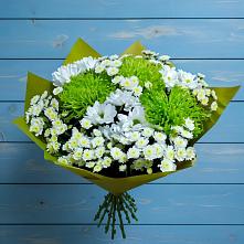 Букет цветов из:  Хризантемы в Боготоле