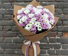 Букет цветов из:  Хризантемы в Боготоле