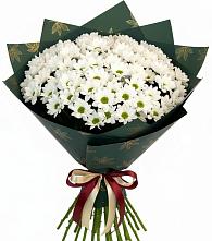 Букет цветов из:  Хризантемы в Боготоле