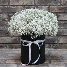 Цветочная композиция из Гипсофила в шляпной коробке в Боготоле